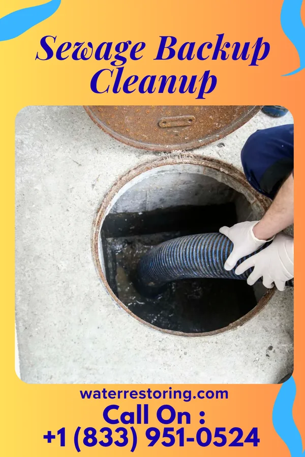 Sewage Backup Cleanup in Union, AL